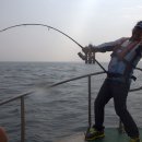 복사초등학교2 이미지