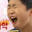 최강낙지 이미지