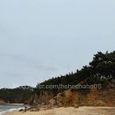 오션스파 이미지