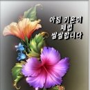 12월16일 고발뉴스 이미지