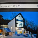 디딜리