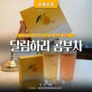 달람하리 | 콤부차추천, 건강하고 맛있는 달람하리 유자맛 콤부차 후기