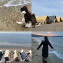 스테이더딜라잇프라이빗 이미지