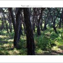 벌교농협주유소 이미지