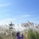 금오름농장 이미지