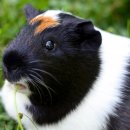 목동점현대자동차 이미지