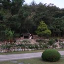 덕산계곡진입로 이미지