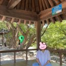 가수2리 경로당 | [세븐틴/여행] 고잉 세븐틴 전원우일기 촬영지 세봉 2리 ‘양평 보릿고개 마을’ 방문 후기/캐럿 투어