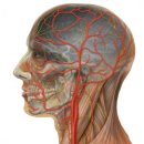 비앤씨의원 이미지