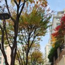 판교로228번길 이미지