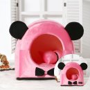 오로라펫 이미지