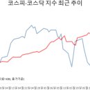 P-5702 쿠키뉴스