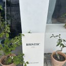 재미난소프트 | [나주/빛가람동] 나주 혁신도시 카페 추천 감성 가득한 '러스틱(Rustic)' 나주 카페 투어