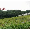 평창OK공인중개사사무소 이미지