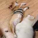 인수한의원 이미지