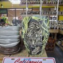 다육카페 샌프란시스코 이미지