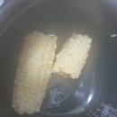 여주-0310 | IH 압력밥솥과 일반 전기밥솥, 밥맛 차이 있을까? 3인용 쿠쿠 밥솥 비교하기