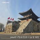 줄넘기 | 마이옵티멀 스위치온 유지어트 28일차 공복 5분 줄넘기 후기