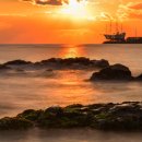 해맞이축제 이미지