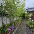 자연과 함께하는 하룻밤 이미지