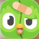 1일 1문장으로 시작하는 중국어 - 기초회화편 step1 | 듀오링고 100일 넘긴 후기 | 무료버전 중국어 공부 솔직 리뷰 + 연속학습 유지 방법