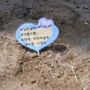 창의어린이집 이미지