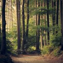 태양가스 이미지