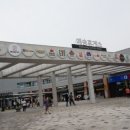 꼰띠고애견펜션1
