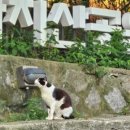 하나님의 특별계시 이미지