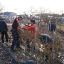 김동수농장 이미지