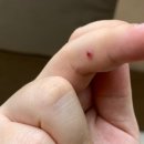 서울더본피부과의원 이미지