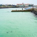 판포바람 | 제주도 바다 제주 판포포구 스노쿨링 명소 포인트 물놀이 추천