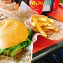 (주) 알로하팩토리 | 코스 DAY1 호놀룰루(주정부청사/이올라니 궁전/알로하 타워 항구/진주만/테디스비거버거/와이키키해변...