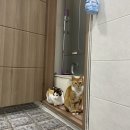 은해다방 | 아침식사를 활용한 인맥관리