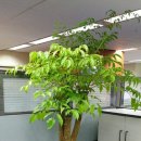 (주)대우건설 이미지