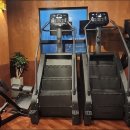 에반 휘트니스 이미지