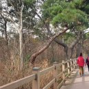 남목역사누리길 이미지