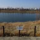 아라둘레 Daum카페