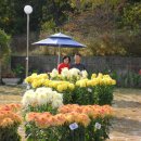 그 해 가을 이미지