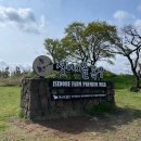 방목목장 | 제주 가볼만한 곳 [성이시돌목장] 주차 / 방목시간 / 테쉬폰 / 셀프스냅장소 추천