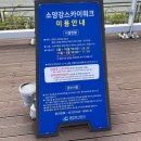 썬샤인워크 | 춘천여행 💙 소양강 스카이워크 솔직후기