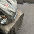 누우래 | 4월 세부 우정여행 (1) : 오슬롭 고래상어 투어