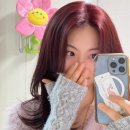 망고&체리 애견샵 | 평택 용죽 미용실 쏘이지헤어, 쿨톤 인생컬러 '블랙커런트'로 카리나 염색하고 온 후기! (애견동반 1인샵)