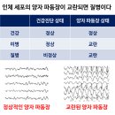 인체는 파동 에너지체다 이미지