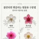 이케이에너지㈜평택 | “데일리 물류뉴스” 4월 7일(화)
