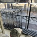 중부대로14 | 수원 골프샵 입문 여성 젝시오 14 풀세트 후기