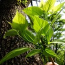 대구광역시립 두류도서관 이미지