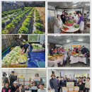 신비마을2단지아파트 이미지