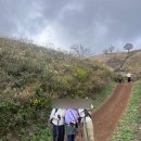 발구덕입구 | 민둥산/제2코스 민둥산 등산로입구(능전마을) 출발~발구덕~정상/민둥산 억새축제