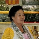 숭조회